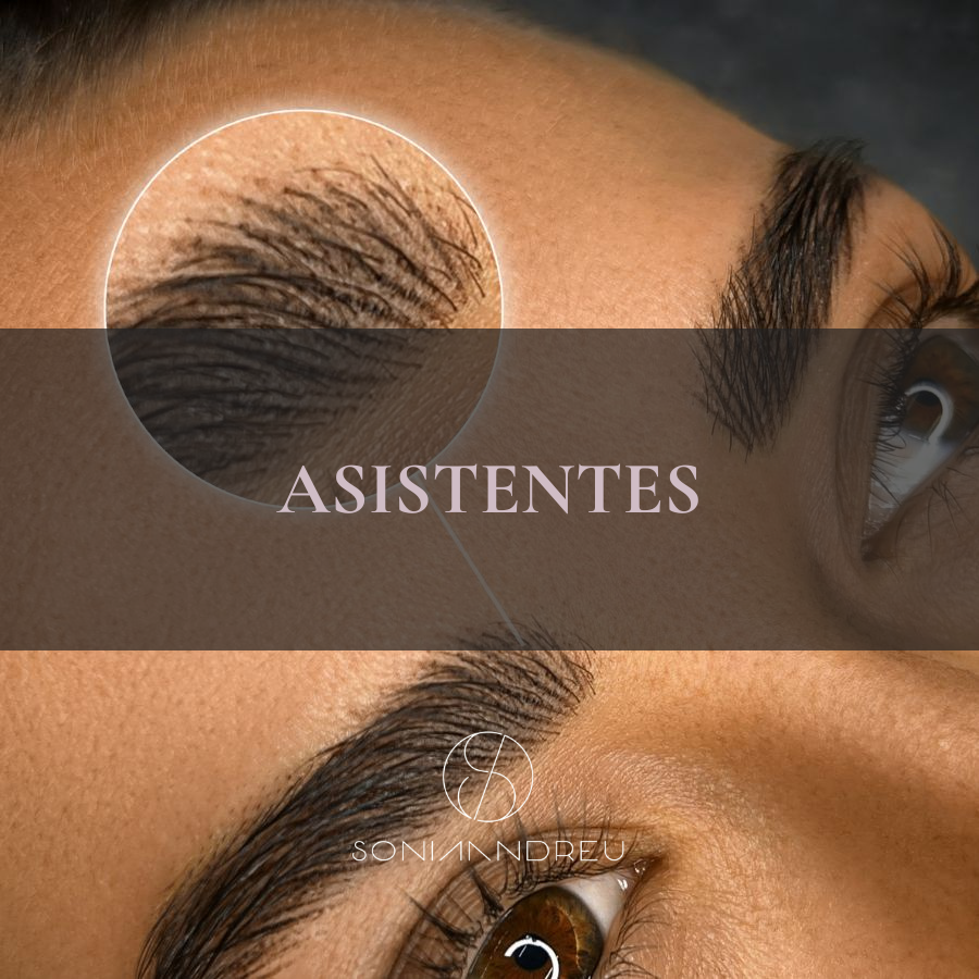 Asistentes